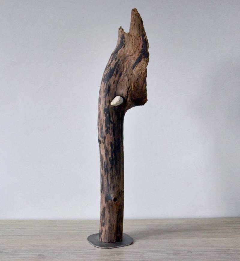 Pachydermique – Image 2