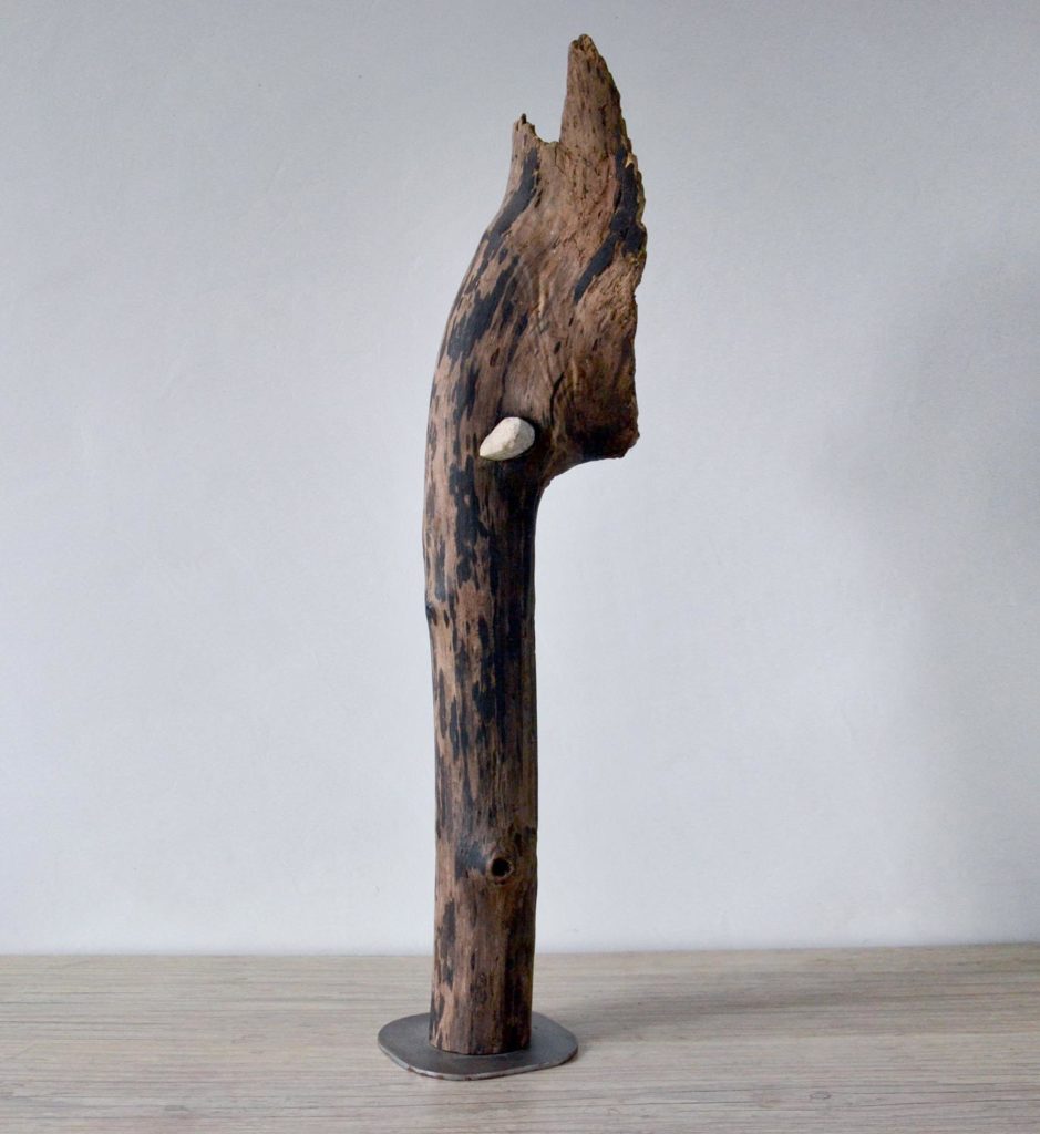Pachydermique – Image 2