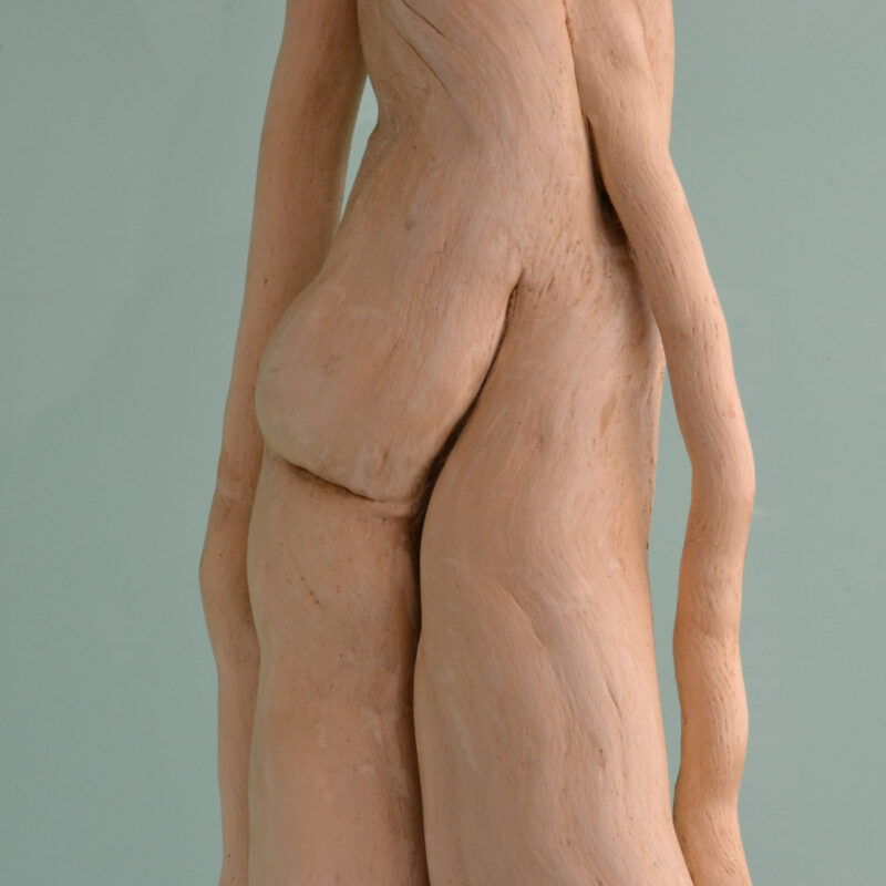 sculpture bois flotté, par l’artiste français Frédéric Ansermet