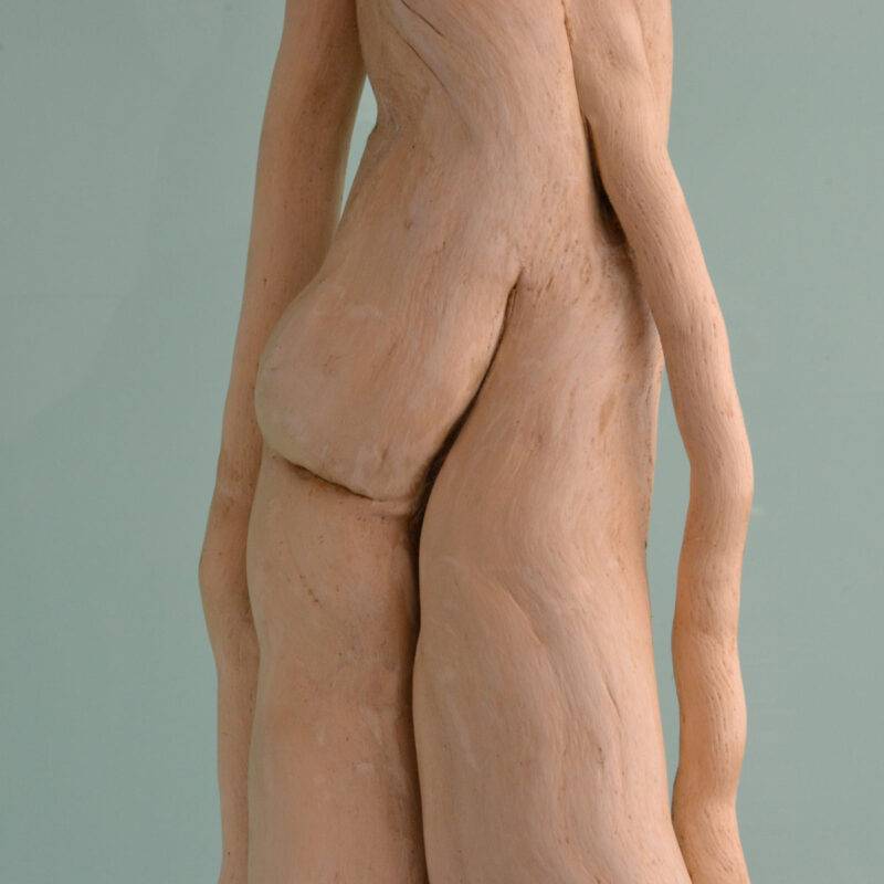 sculpture bois flotté, par l’artiste français Frédéric Ansermet