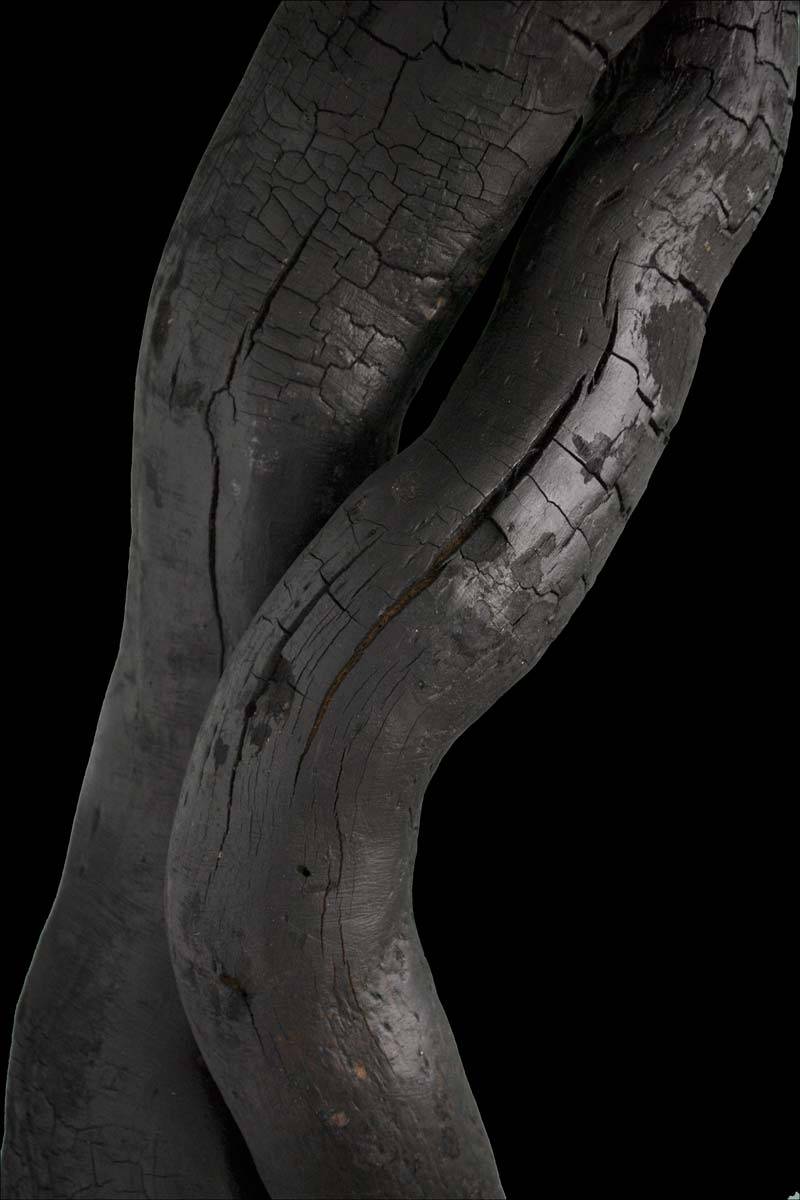 Sculpture en bois brulé vernis