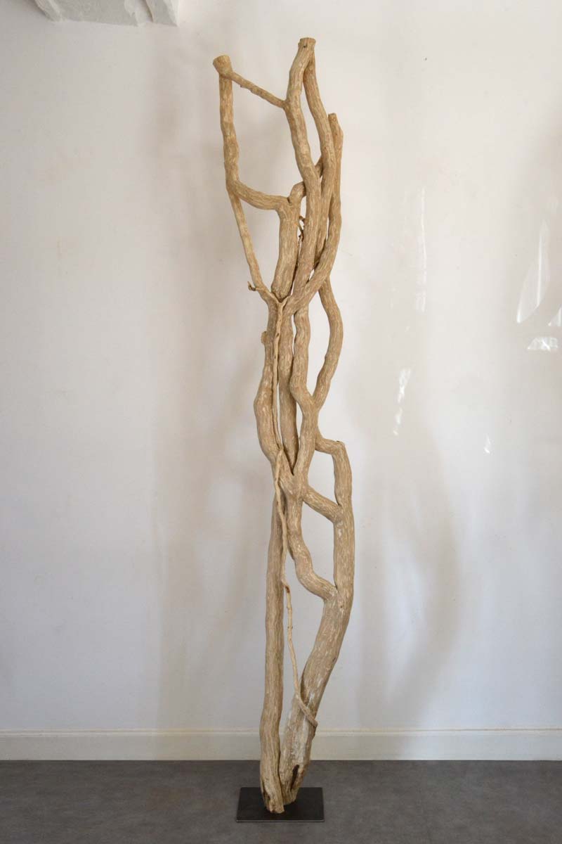 Luminaire LED en bois brut, bois flotté naturel par le sculpteur et artiste français Frédéric Ansermet