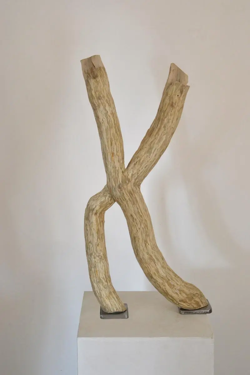 Luminaire LED en bois brut, bois naturel par le sculpteur et artiste français Frédéric Ansermet