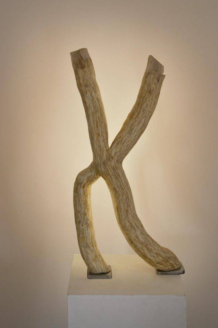 Luminaire LED en bois brut et naturel par le sculpteur et artiste français Frédéric Ansermet
