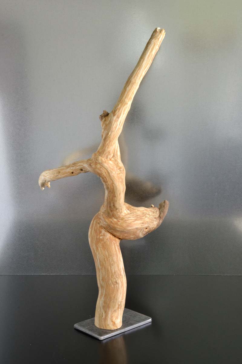 sculpture bois flotté, par l’artiste français Frédéric Ansermet