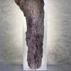 Luminaire LED en bois brut, Verre dépoli. socle acier par l'artiste et sculpteur Frédéric Ansermet