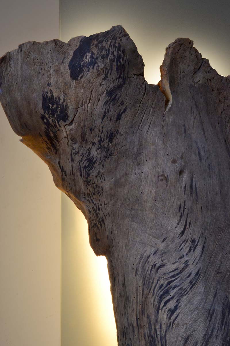 Luminaire LED en bois brut, Verre dépoli. socle acier par l'artiste et sculpteur Frédéric Ansermet