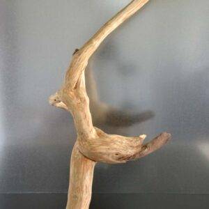 sculpture bois flotté, par l’artiste français Frédéric Ansermet