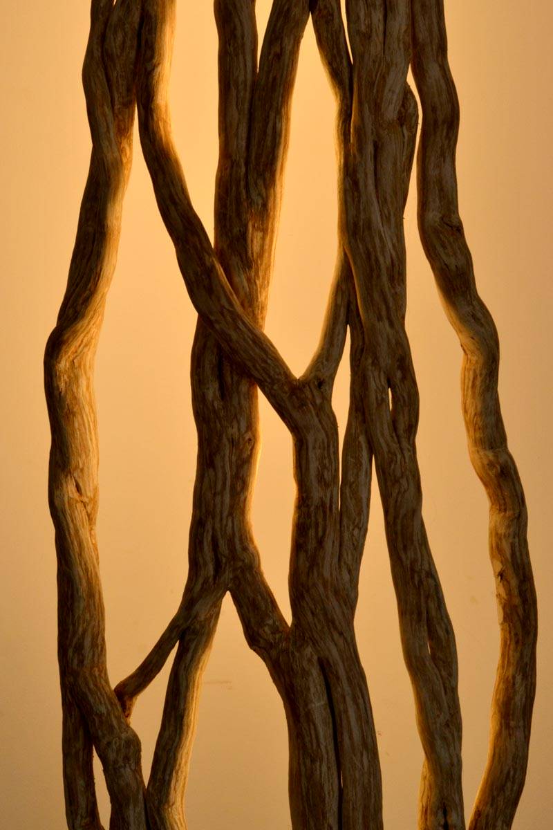 Luminaire en bois flotté blond, incrusté de bandeaux LED. Pièce unique