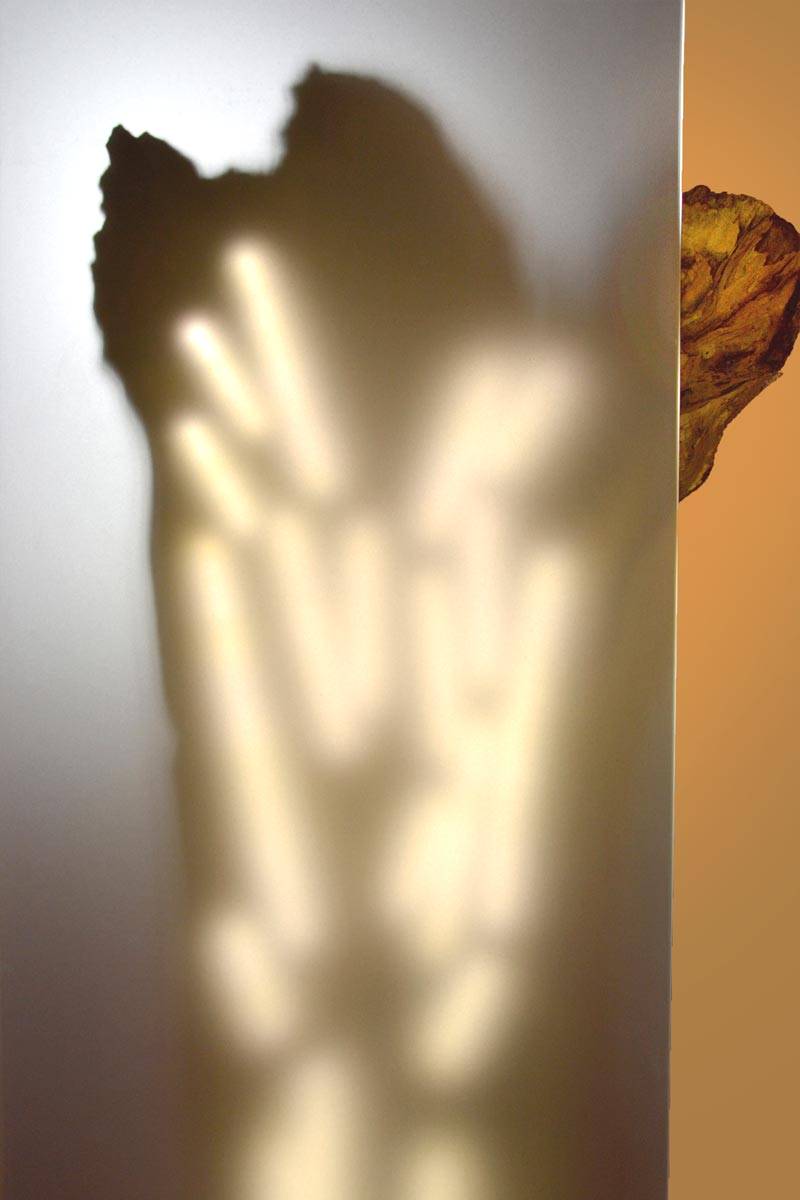 Luminaire LED en bois brut, Verre dépoli. socle acier par l'artiste et sculpteur Frédéric Ansermet