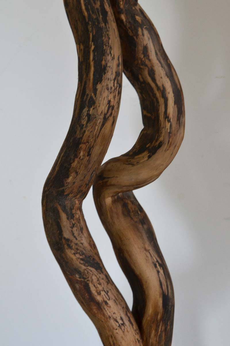Le Faune – Image 4