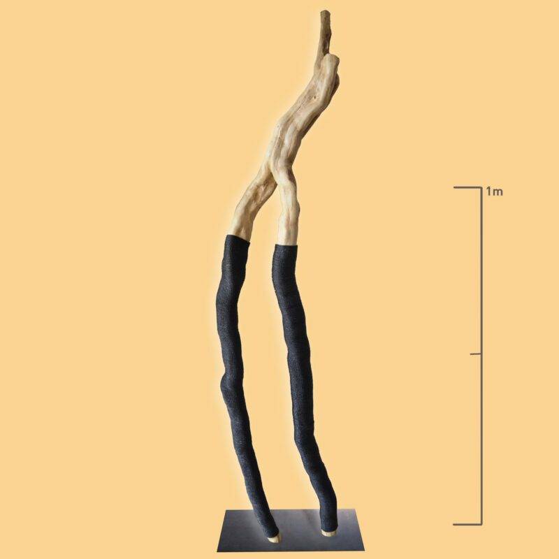 Nomade n°8