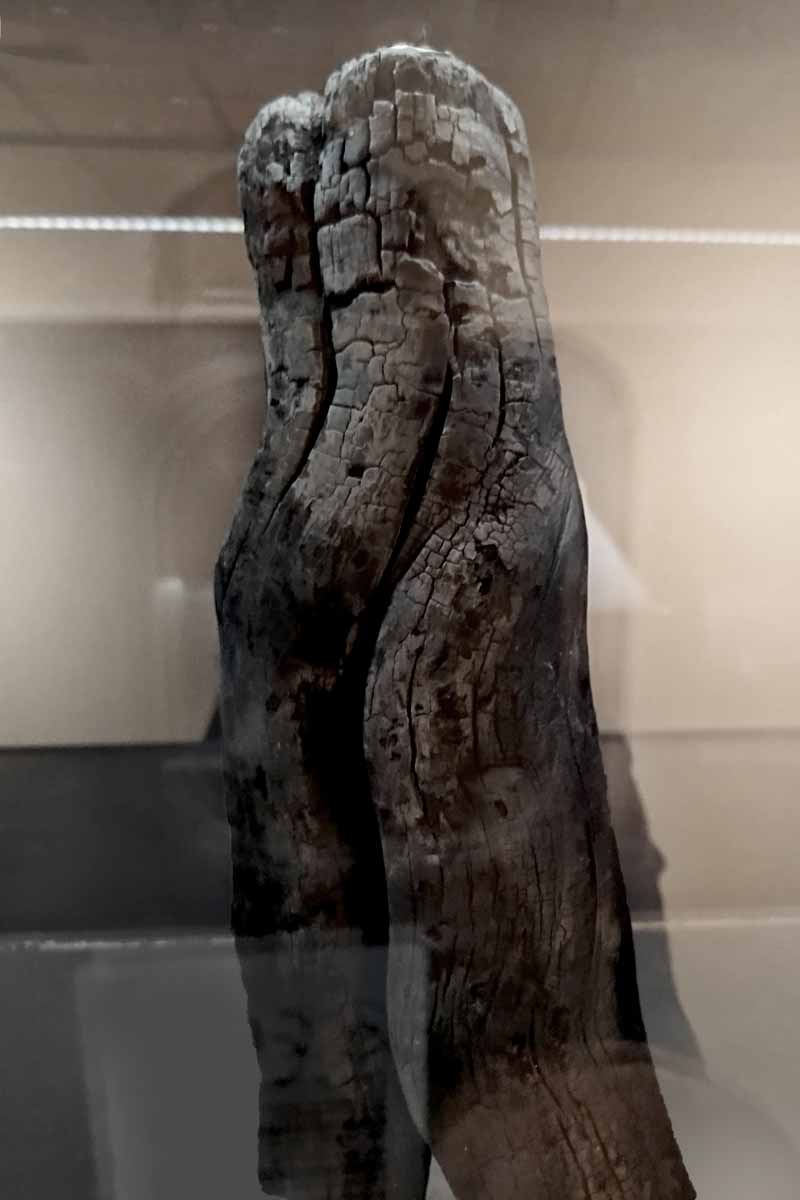 Shu Sugi Ban n°18